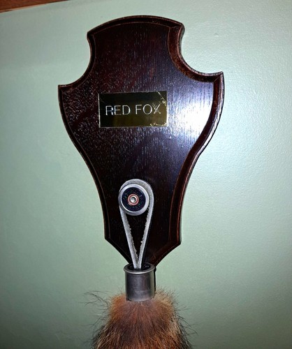 Red fox taxidermy tail wall - taxidermy,