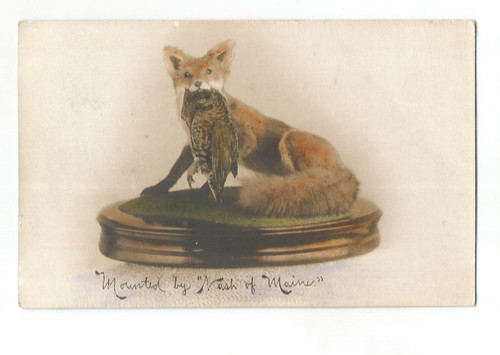 Rppc norway maine mounted - rppc,
