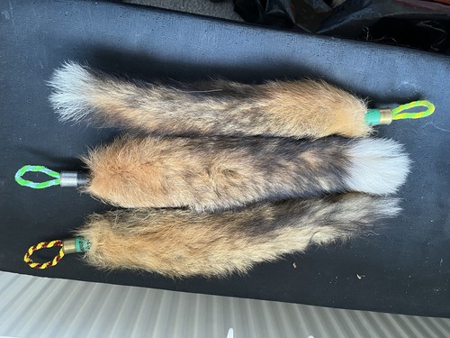Taxidermy three large - large, fox