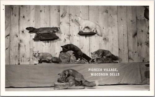 Vintage wisconsin dells - vintage,