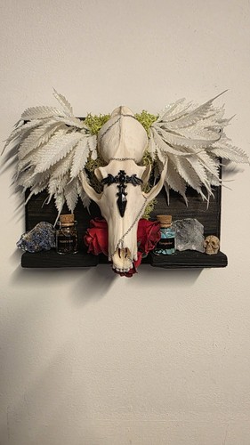 Fox skull wall - skull, trinket