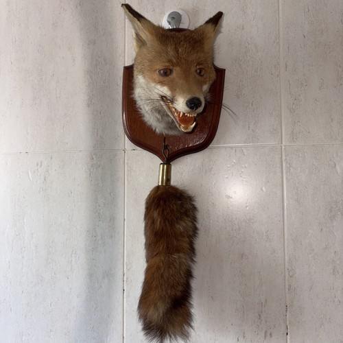 Bill hanson taxidermy - bill,