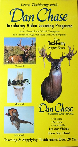 Dan chase taxidermy - dan, video