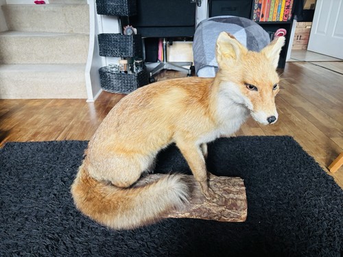 Stunning well mounted base - mounted,